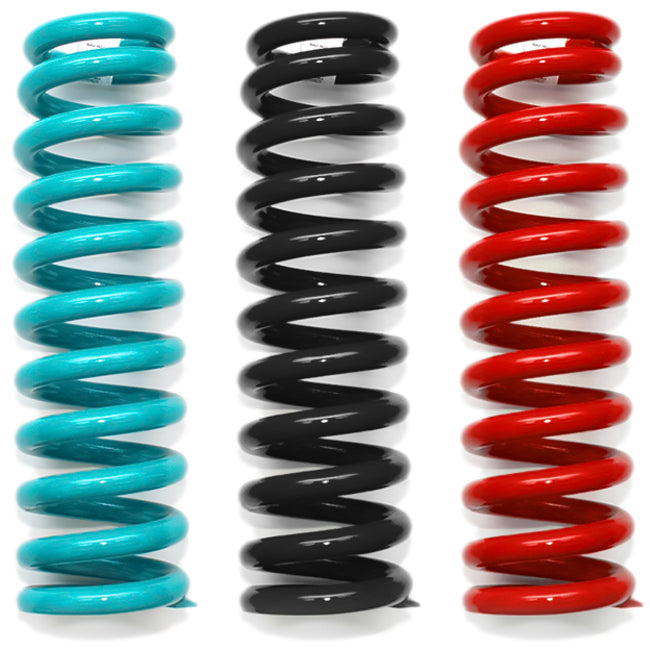 DOBINSONS COIL SPRINGS PAIR - C59-819V